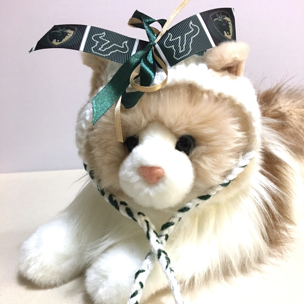 University of South Florida BULLS Cat Hat *NEW*